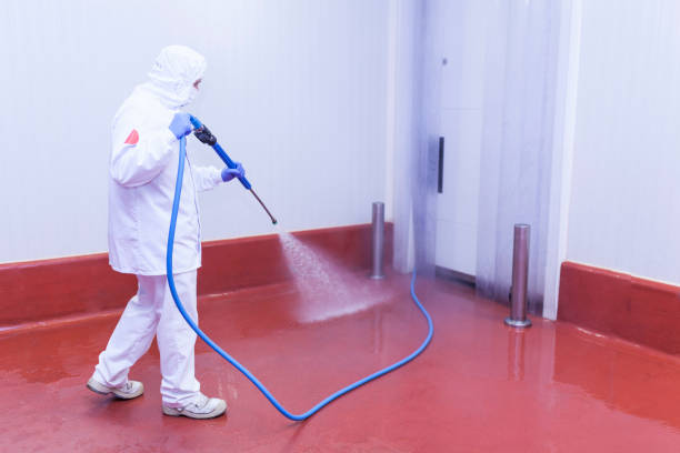 Best Boat and Dock Cleaning  in Mead, CO