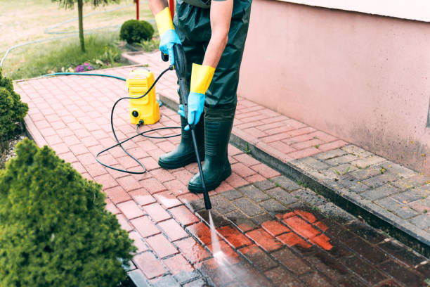 Best Dumpster Area Cleaning  in Mead, CO